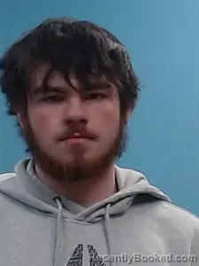 Booking photo from Boone County, Arkansas