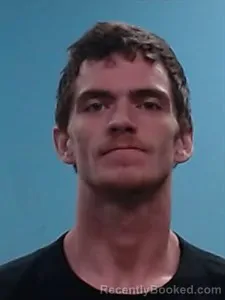 Mugshot of Mason Shane Webb