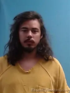 Mugshot of Elijah Joshua Wilt