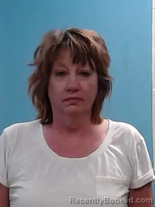 Mugshot of Linda M Collins