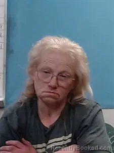 Mugshot of Lisa Delarosa