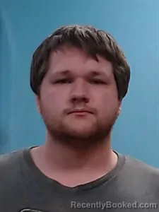 Mugshot of Leamon Harold Griffin