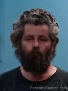 Mugshot of Damon Wayne Wise