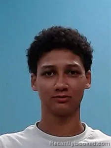 Mugshot of Brianne Roxanne Norman booked in Boone County, Arkansas on March 27, 2026