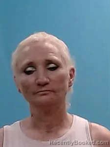 Mugshot of Shana Francas Mcmurray booked in Boone County, Arkansas on April 3, 2026