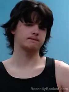 Mugshot of Logan Kel Wilson booked in Boone County, Arkansas on April 4, 2026