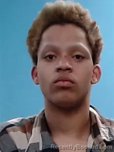 Mugshot of Marcus Wayne Carlson booked in Boone County, Arkansas on April 14, 2026