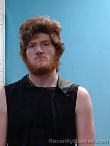 Mugshot of Levi Henry Hall booked in Boone County, Arkansas on April 14, 2026