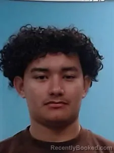 Mugshot of Wilder Ariel Lopez-Mendoza booked in Boone County, Arkansas on April 22, 2026