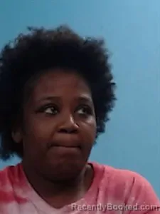 Mugshot of Danielle Yvonne Holloway booked in Boone County, Arkansas on April 24, 2026