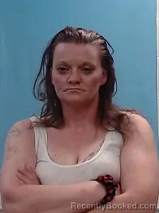 Mugshot of Leslie Marie Anglin booked in Boone County, Arkansas on June 2, 2026