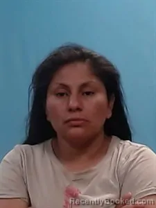 Mugshot of Rosa Isabel Martinez-Mancilla booked in Boone County, Arkansas on June 13, 2026