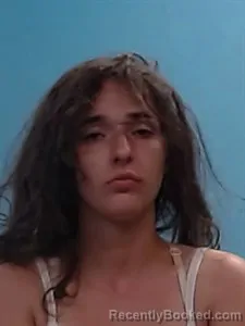 Mugshot of Holly Rae Ton booked in Boone County, Arkansas on June 17, 2026