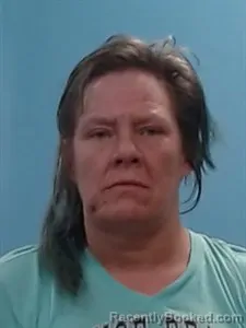 Mugshot of Erica June Watt