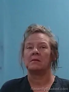 Mugshot of Erica June Watt booked in Boone County, Arkansas on July 11, 2026