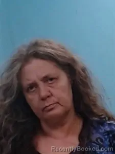Mugshot of Gail Renee Rogers booked in Boone County, Arkansas on July 30, 2026