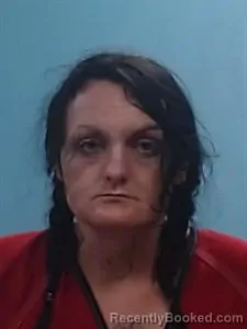 Mugshot of Debra Lynn Reese booked in Boone County, Arkansas on August 4, 2026