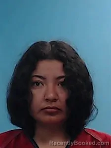 Mugshot of Karina Mejia-Cruz booked in Boone County, Arkansas on August 24, 2026