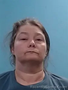 Mugshot of Marika Lynn Shields booked in Boone County, Arkansas on August 25, 2026