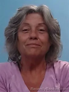 Mugshot of Diane Mae Johnson booked in Boone County, Arkansas on September 14, 2026