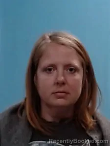 Mugshot of Teel Joleen Lewis booked in Boone County, Arkansas on October 18, 2026
