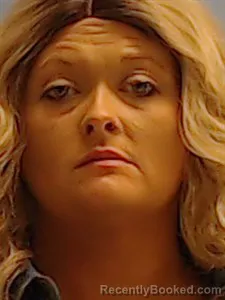 Mugshot of Raven Nicole Landon