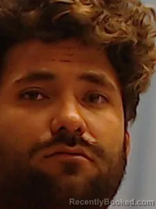 Mugshot of Henry J Castellano-Paez