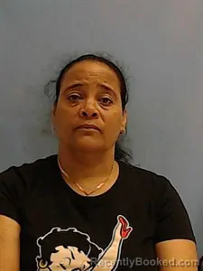 Mugshot of Ana Arilis Perez booked in Calhoun County, Arkansas on April 3, 2026