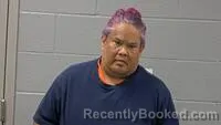 Mugshot of SANDY L AGUON booked in Carroll County, Arkansas on June 14, 2026