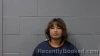 Mugshot of VIOLETA GACHUZO-TAPIA booked in Carroll County, Arkansas on June 20, 2026