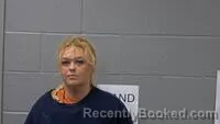 Mugshot of CRYSTELLE M SHELTON booked in Carroll County, Arkansas on June 25, 2026
