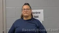 Mugshot of ARLEEN K HOKE booked in Carroll County, Arkansas on July 5, 2026