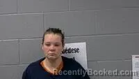 Mugshot of BREEANA L MCCLOUD booked in Carroll County, Arkansas on July 11, 2026