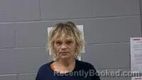Mugshot of TONYA S GOODMAN booked in Carroll County, Arkansas on July 14, 2026