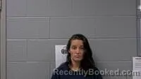 Mugshot of TAMARA M PERRYMAN booked in Carroll County, Arkansas on July 29, 2026