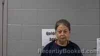 Mugshot of Sarah K Mayes booked in Carroll County, Arkansas on August 16, 2026