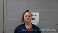 Mugshot of Sarah L Davis booked in Carroll County, Arkansas on August 18, 2026