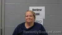 Mugshot of Tammy A Gibson booked in Carroll County, Arkansas on August 24, 2026