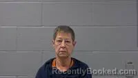 Mugshot of Lesley J Robinson booked in Carroll County, Arkansas on October 24, 2026