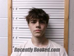 Booking photo from Cleburne County, Arkansas