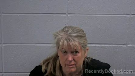 Mugshot of CONNIE B ANTHONY booked in Cleburne County, Arkansas on May 12, 2026
