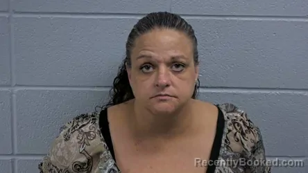 Mugshot of ERIN M ANTONACCI