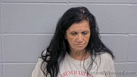 Mugshot of TINA J ANDERSON booked in Cleburne County, Arkansas on July 8, 2026