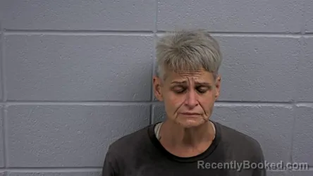 Mugshot of ANGELIA K BURNES booked in Cleburne County, Arkansas on June 30, 2026