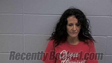 Booking photo from Cleburne County, Arkansas