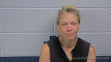 Mugshot of Cathleen D Gramling booked in Cleburne County, Arkansas on August 26, 2026