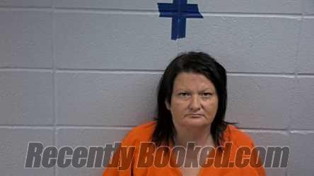 Booking photo from Cleburne County, Arkansas