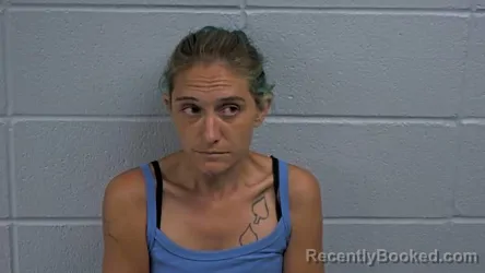 Mugshot of STEPHANIE K GIBSON booked in Cleburne County, Arkansas on August 4, 2026