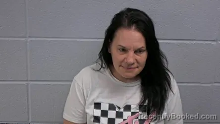 Mugshot of NICOLE M HAYNES booked in Cleburne County, Arkansas on March 26, 2026