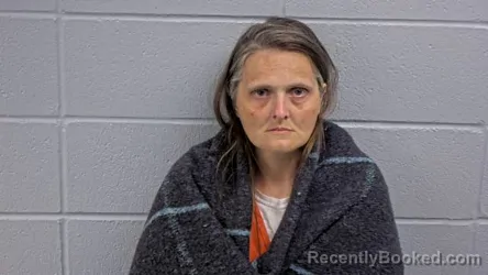 Mugshot of JACKIE T JOHNSON booked in Cleburne County, Arkansas on June 14, 2026